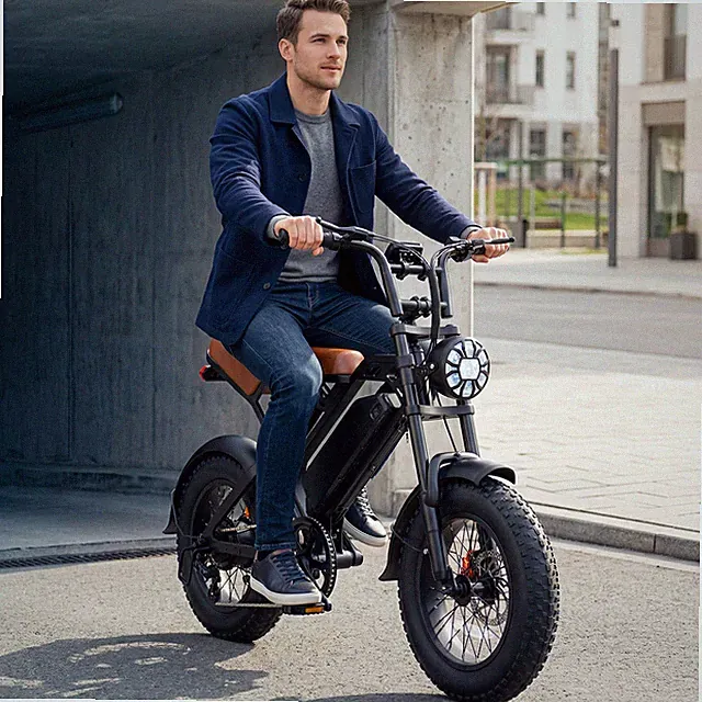 1500W 16'' Fat Tire Electric Bike for Adults 28MPH 35Mile Fast E-Mountain Ebike