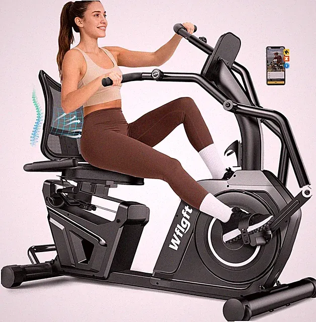 High-end Smart Recumbent Exercise Bike Home Workout Bike Stationary Bike APP