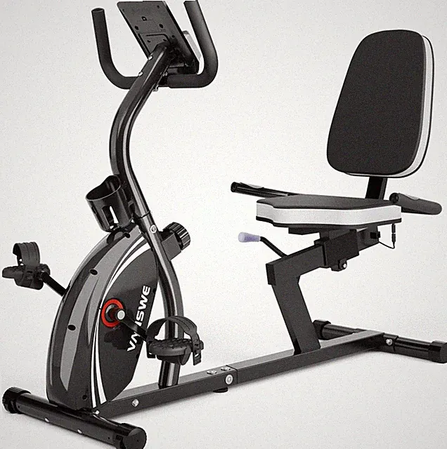 VANSWE Recumbent Exercise Bike for Adults Seniors - Recumbent Bikes for Home wit