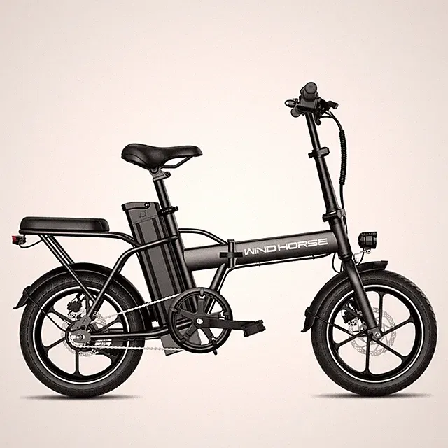 Windhorse W2A Black Folding Electric Bike 16in 630W 20MPH 35Mi Rear Seat